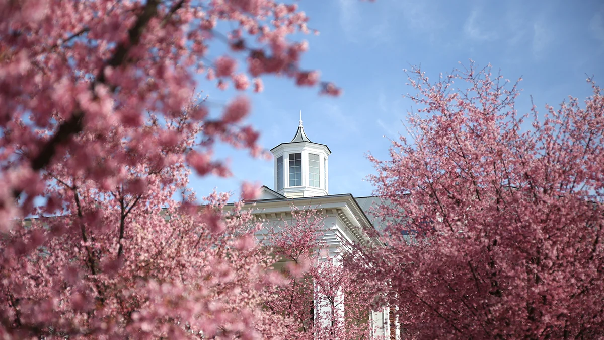 Masonic Village at Lafayette Hill columned entrance framed by flowering trees.