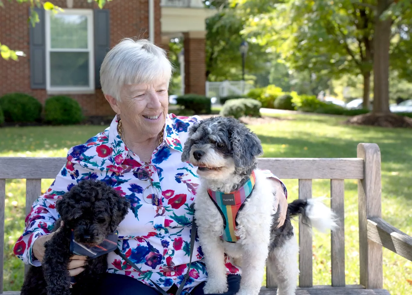 Woman sitting on bench with two dogs