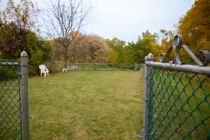 wide shot of dog park with benches and chairs in the background