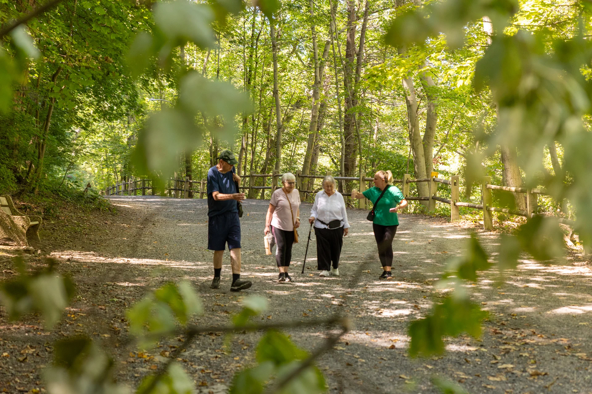 Seniors hiking with staff. Group of seniors with a staff member walking outdoors in a wooded area.