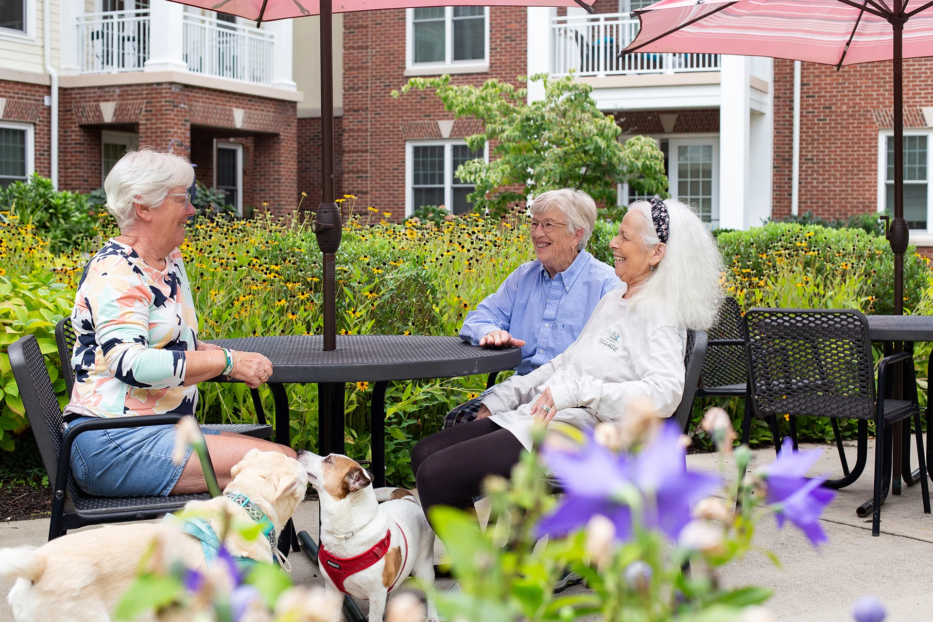 Senior women with their dogs. Open ' Masonic Village at Elizabethtown Sycamore Apartments Tour' video in a new window on YouTube