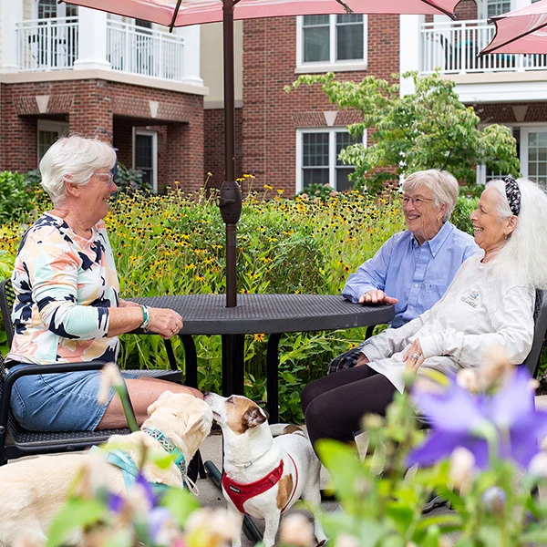 Smiling senior women sitting at an outdoor picnic table together while dogs play at their feet.
